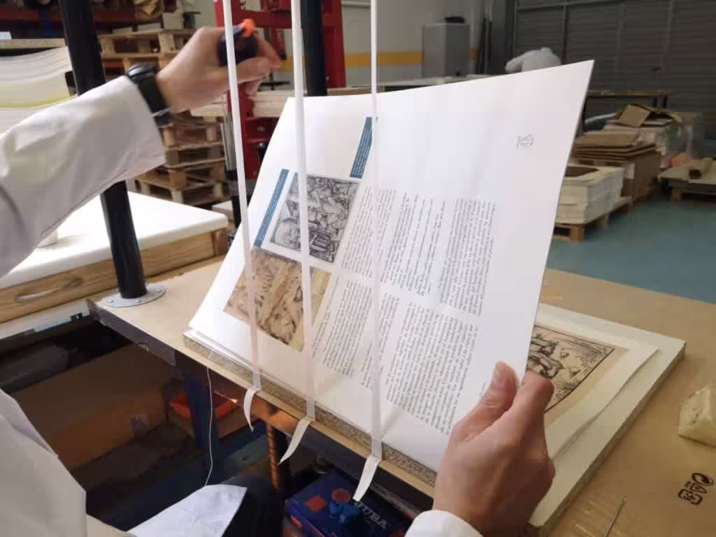 Stitching - Absolute Dürer
