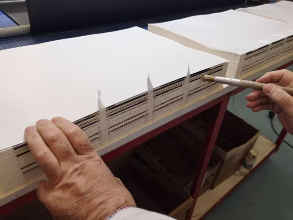 Gluing - Absolute Dürer